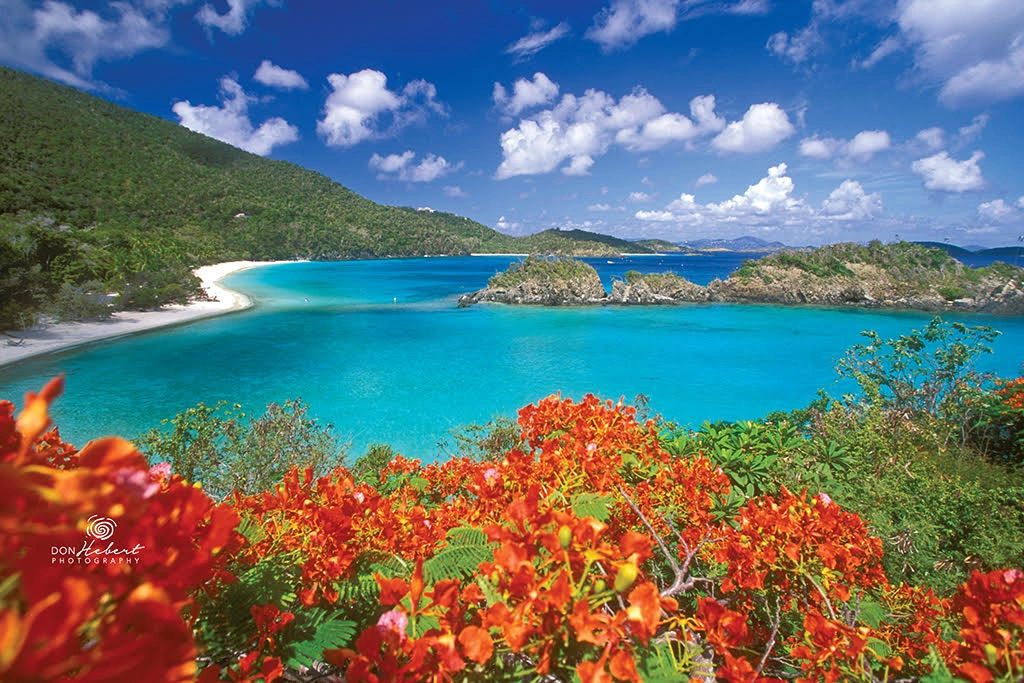 Democratic Party of the Virgin Islands