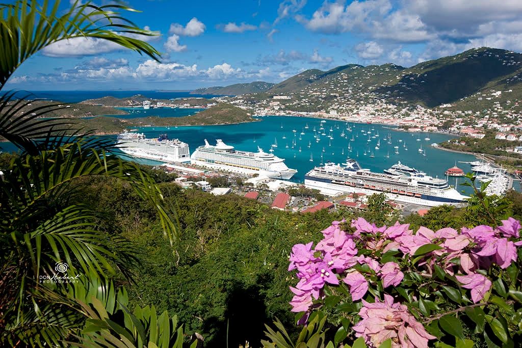 Democratic Party of the Virgin Islands